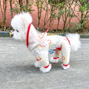 Detail of waterproof pet raincoat featuring rainbow prints and red transparent hood trim