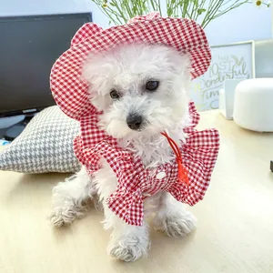 Detail of red and white checkered pet sun hat and wavy-edged bandana on a small white dog
