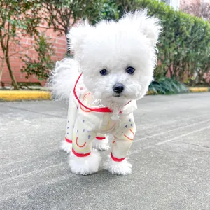 Waterproof rainbow dog raincoat with red trim and white buttons on a small white puppy