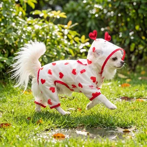 Detail of waterproof semi-transparent dog raincoat with red heart patterns and hood