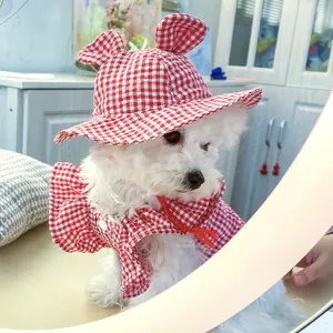 Detail of red checkered pet sun hat with bear ears and matching cape for small dogs