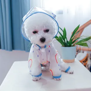 Close-up of transparent pet raincoat with rainbow print and blue trim on small white dog