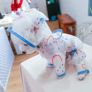 Detail of waterproof pet raincoat with transparent visor and rainbow print on white dog