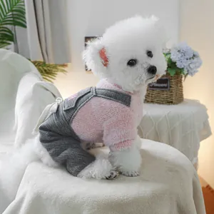 Detail of pink knitted dog sweater and grey overalls set on small Bichon puppy