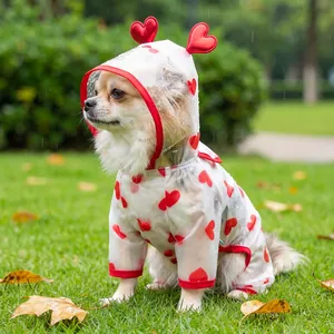 Close-up of transparent dog raincoat with red heart prints and hooded heart decor