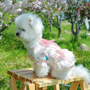 Detail of pink floral pet dress with white lace trim and puffy sleeves in outdoor setting