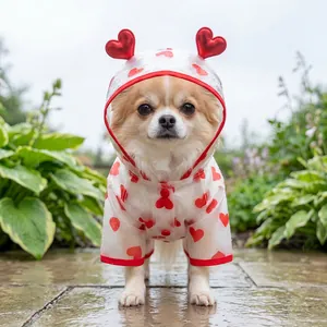 Close-up of clear pet raincoat with red hearts and button closure for small dogs