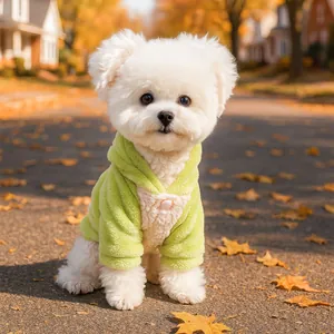 Green and white patchwork plush hoodie for small dogs and cats in autumn and winter