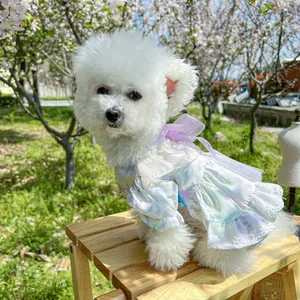 Close-up of pet princess dress with iridescent mesh, floral patterns and lace edge