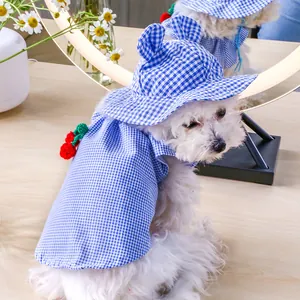 Detail of blue plaid pet sun hat with cute bear ears and matching cherry cloak set