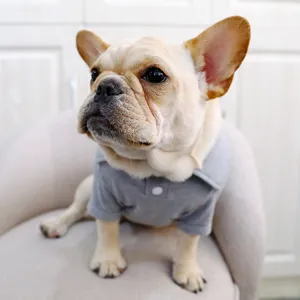Détail d'un polo gris brodé pour chien avec col classique sur un bouledogue français