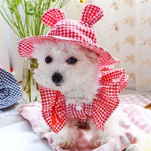 Detail of red checkered pet sun hat with cute ears and matching ruffled shirt on a dog