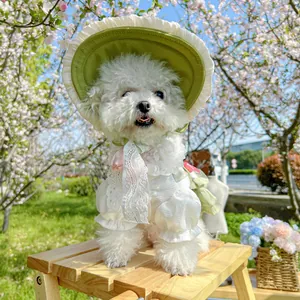 Detailed close-up of a white pet lace shirt and green floral sun hat for small dogs
