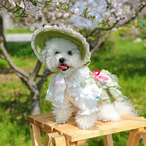 Detail of pet floral dress with lace ruffles and matching straw hat for small dogs