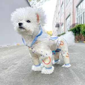 Close-up of a white Bichon wearing a rainbow print waterproof dog raincoat with hood