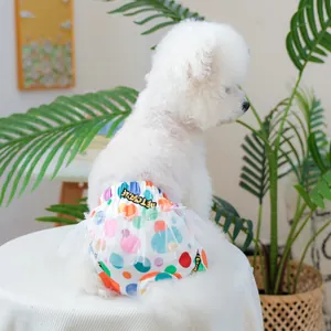 Mutandine igieniche per cani con pois colorati e bordo in pizzo in ambiente domestico