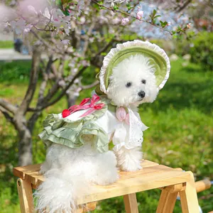 Floral pet princess dress with lace trim and matching sun hat on a Bichon Frise dog