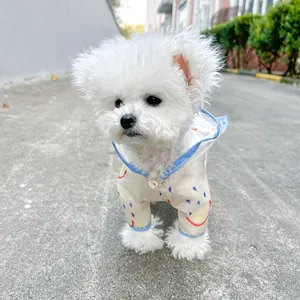 Close-up of a rainbow pattern dog raincoat with transparent hood on a white Bichon dog
