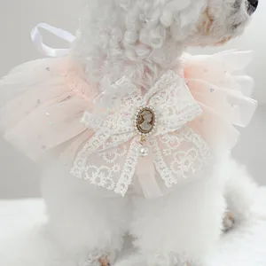 Detail of pink lace pet bib with cameo brooch and pearl pendant on a white dog