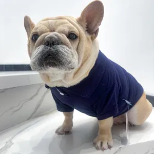 Détail du polo pour chien bleu marine avec col boutonné sur un bouledogue