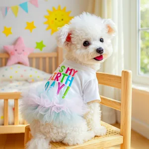 Détail de la robe d'anniversaire pour chien avec tutu coloré et texte brodé It's My Birthday