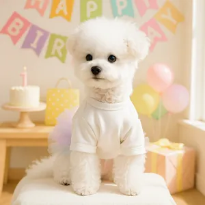 Robe d'anniversaire pour petit chien avec jupe en tulle arc-en-ciel pour la fête