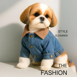 Details einer Hunde-Jeansjacke mit Cordkragen und Vintage-Bronzeknöpfen