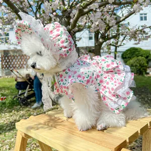 Floral pet princess dress with lace trim and matching sun hat for small dogs like Bichon