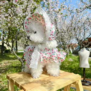 Detailed set of floral pet princess dress and matching lace hat for small dogs
