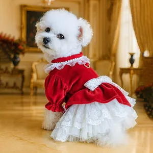 Elegant red velvet pet dress with white lace bow and pearls in a classic interior