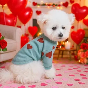 Light blue pet knit sweater with red heart patterns for dogs and cats in a cozy setting