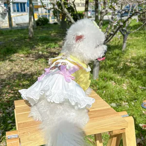 Detail of yellow pet dress with lace collar, pink bows and teddy embroidery on a dog