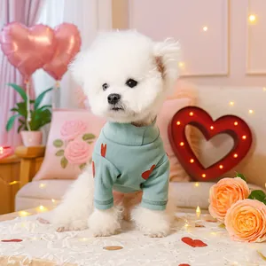 Detail of mint green pet sweater with red hearts and high collar on a small dog