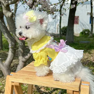 Detail of floral pet dress with bear embroidery and matching bow clip on a white Bichon