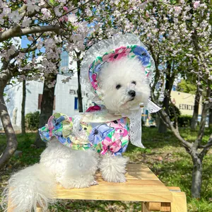 Floral dog dress and lace sun hat set with red bow for spring outdoor activities