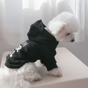 Detail of black pet hoodie with colorful letter prints on a white Bichon Frise