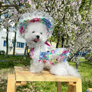 Floral pet sun hat with lace trim matching a delicate summer dress for dogs