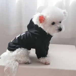 Detail of black pet hoodie with white letter print on a small white dog in a home setting