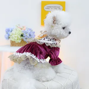 Detail of red velvet pet dress featuring lace trim and a pearl bow on a Bichon dog