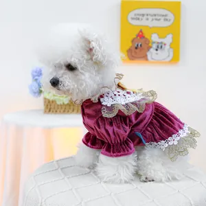 Detail of dog velvet party dress with gold bow and lace trim on a white Bichon