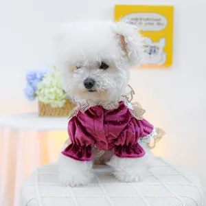 Close-up of burgundy velvet dog dress featuring lace ruffle trim and sequin details