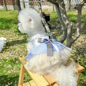 Detail view of lace floral pet dress with blue plaid and golden embroidery accents