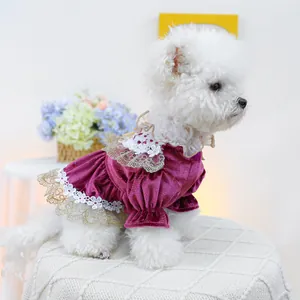 Macro detail of pet dress with velvet fabric, gold embroidery, and white lace ruffles