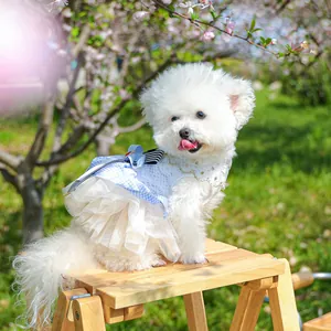 Detail of light blue plaid pet dress with tiered white lace and blue bow on dog