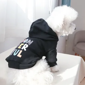 Detail of the colorful WONDERFUL print and soft fabric on a black dog hoodie