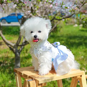 Detail of pet floral princess dress with blue plaid hem and lace sequins on a small dog