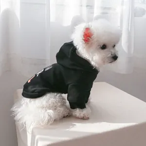 White dog wearing a black hooded pet sweatshirt with white letter print on back