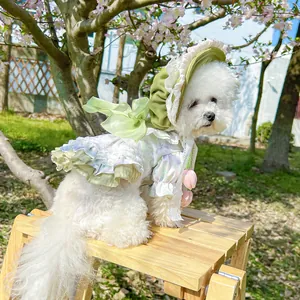 Floral pet dress with lace details and matching sun hat for small dogs on wooden bench