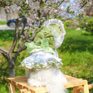 Floral pet princess dress with lace trim and matching hat for small dogs and cats