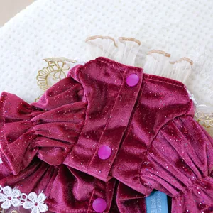 Detailed macro view of burgundy velvet pet dress with sparkling sequins and lace trim